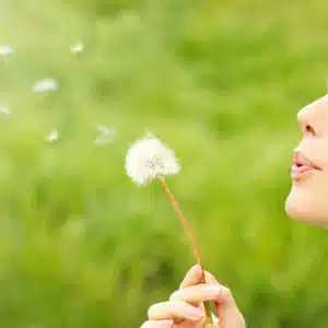 A picture of a woman blowing a dandelion over green background